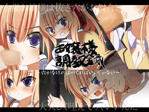 お嬢様調教録〜穴がなければつくればいいじゃない〜
