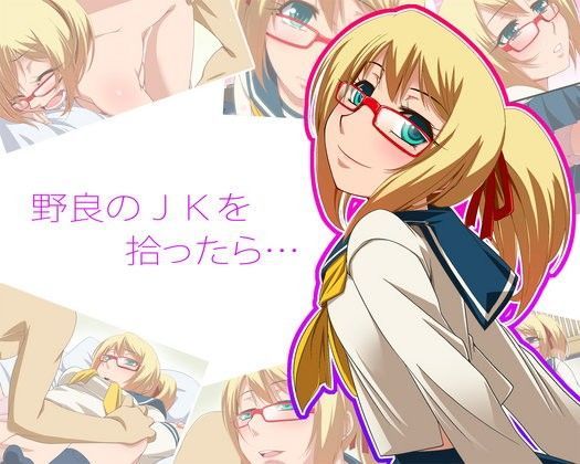 野良のJKを拾ったら…