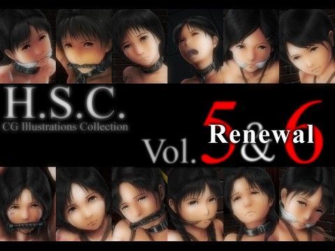 H.S.C. イラストコレクション Vol.5＆6 Renewal