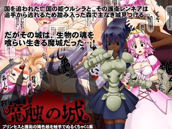 魔触の城 姫様褐色娘触手陵●CG集
