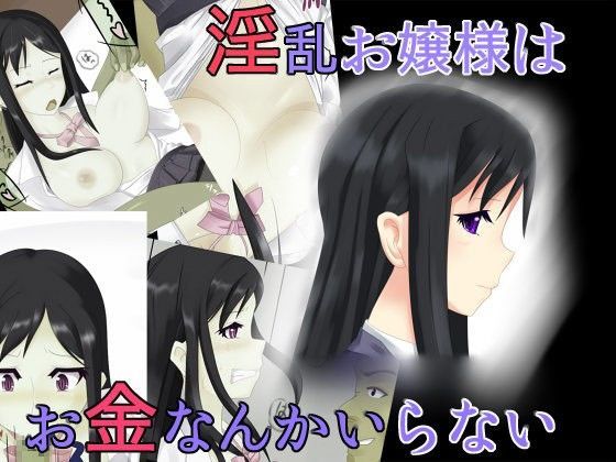淫乱お嬢様はお金なんかいらない