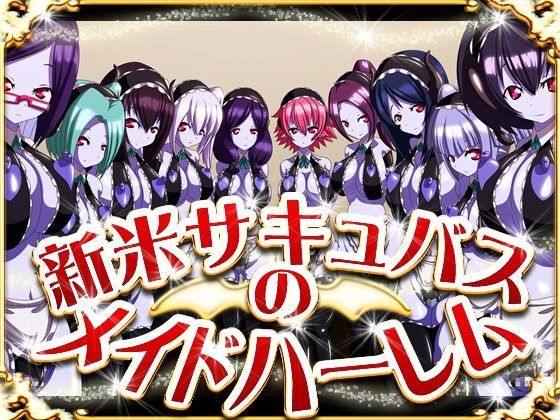 新米サキュバスのメイドハーレム