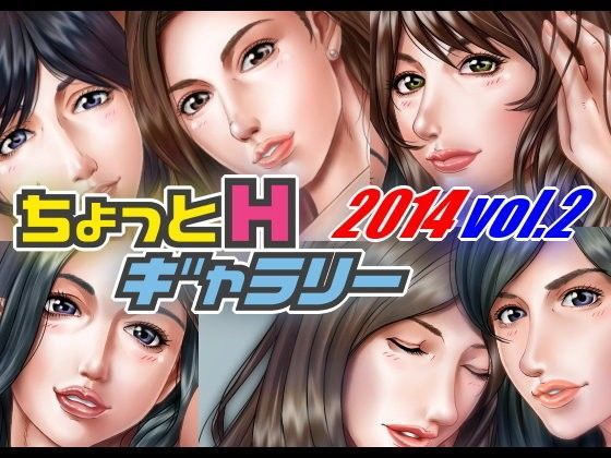 ちょっとHギャラリー 描き下ろしレイヤー付CG集 2014年 Vol.2