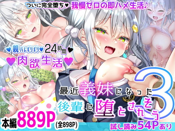 パッケージ画像