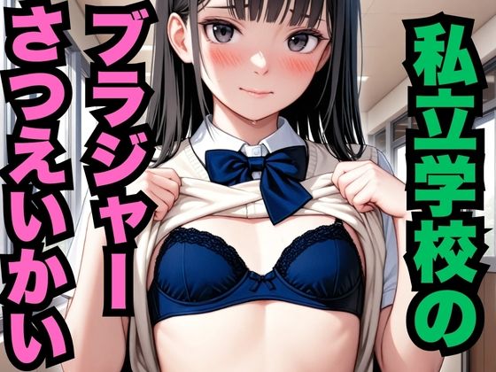 私立学校のブラジャーさつえいかい（約300枚）