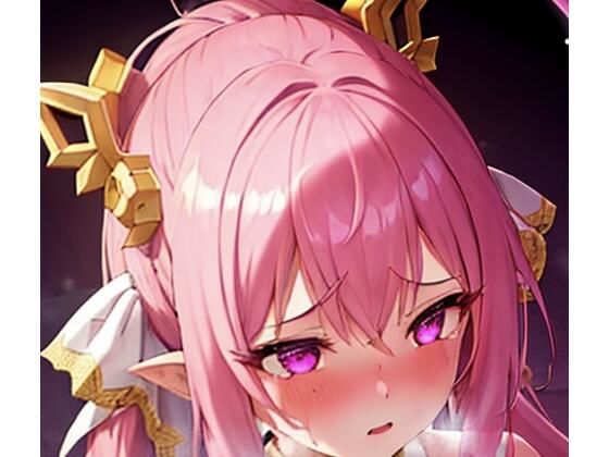 触手に嬲られ絶頂する異世界姫 〜堕ちていく5枚組〜