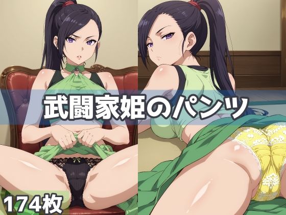 武闘家姫のパンツ