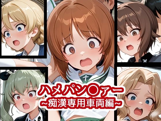 ハメパン〇ァー〜痴●専用車両編〜