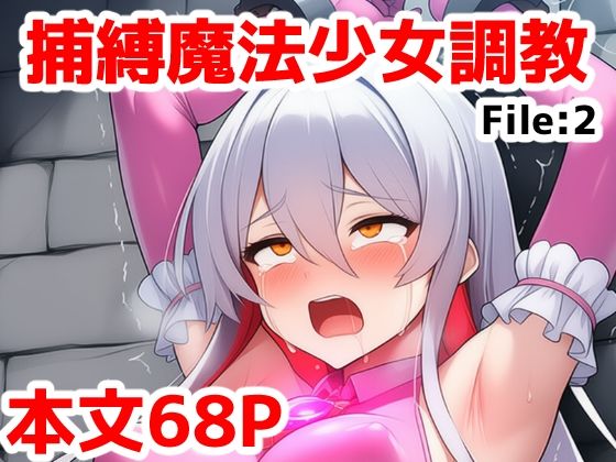 捕縛魔法少女調教File:2〜捕まった魔法少女がイキ地獄調教で悪堕ちする話