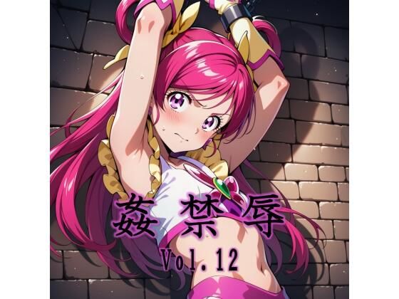 姦禁辱 vol.12