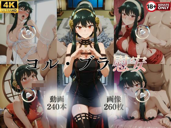ヨル・ブラ慰安【240本＋260枚】