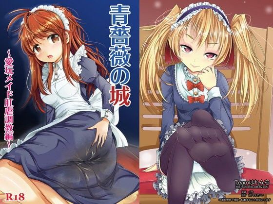 青薔薇の城〜愛玩メイド肛虐調教編〜