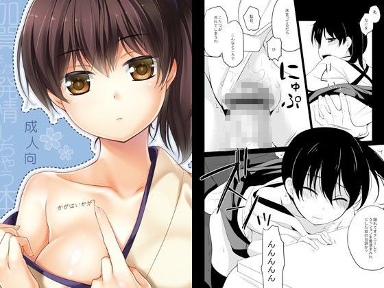 かがはいかが