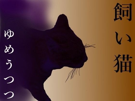 飼い猫