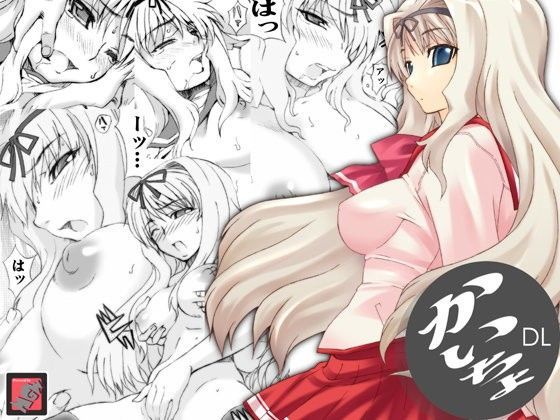 かいちょDL