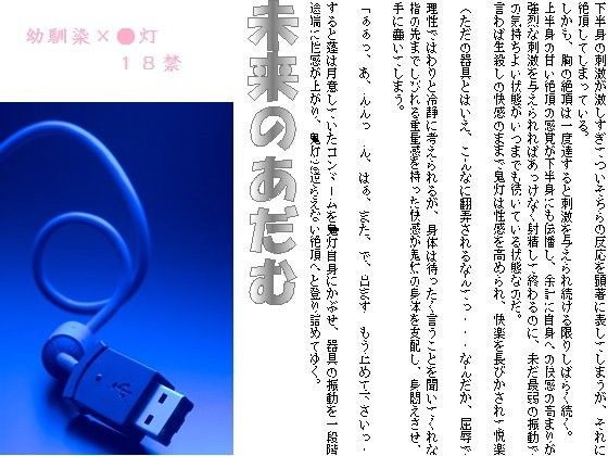 未来のあだむ