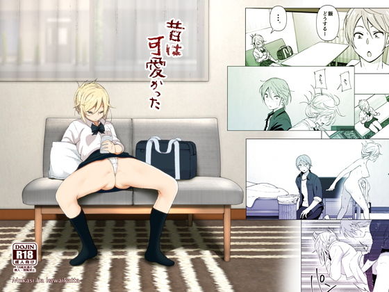 パッケージ画像