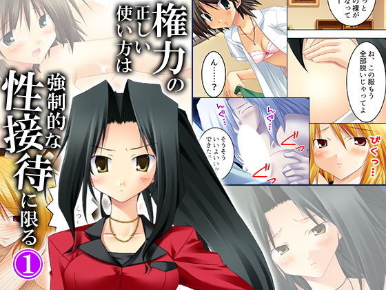 権力の正しい使い方は強●的な性接待に限る 1巻