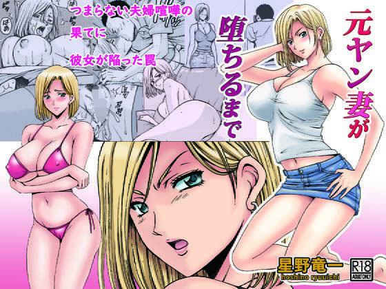 パッケージ画像
