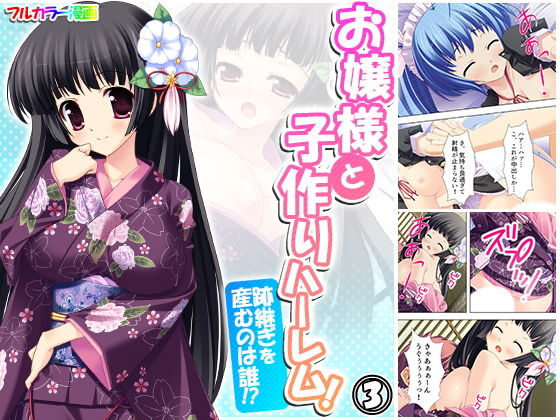 お嬢様と子作りハーレム！跡継ぎを産むのは誰！？ 3巻