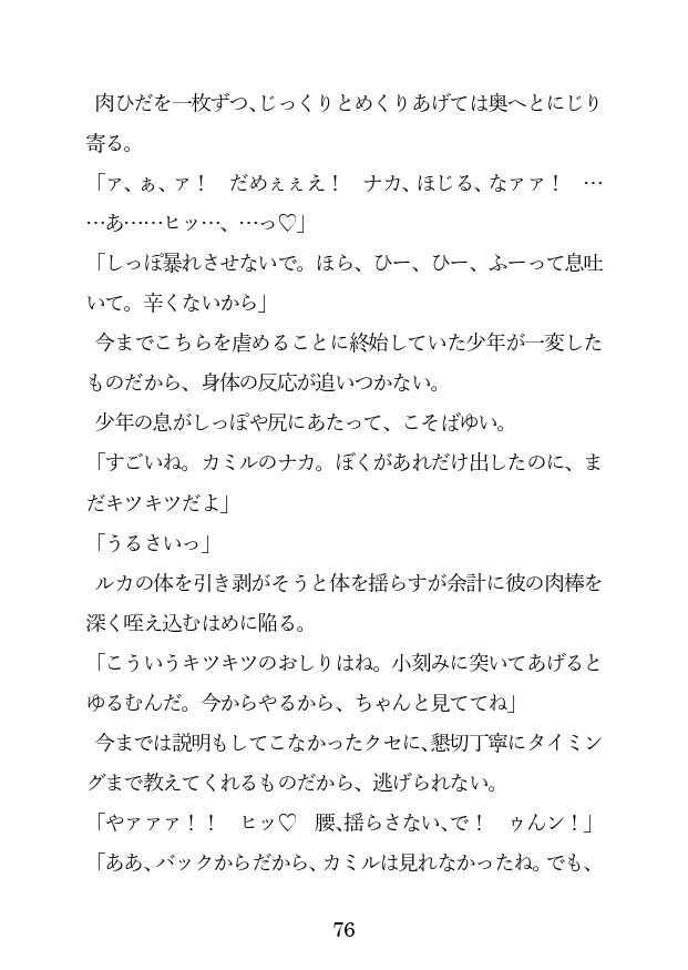 試し読み 5