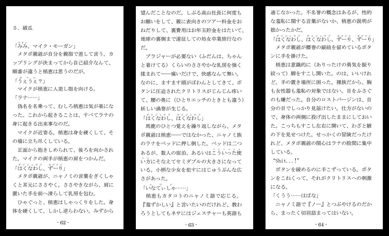 試し読み 5