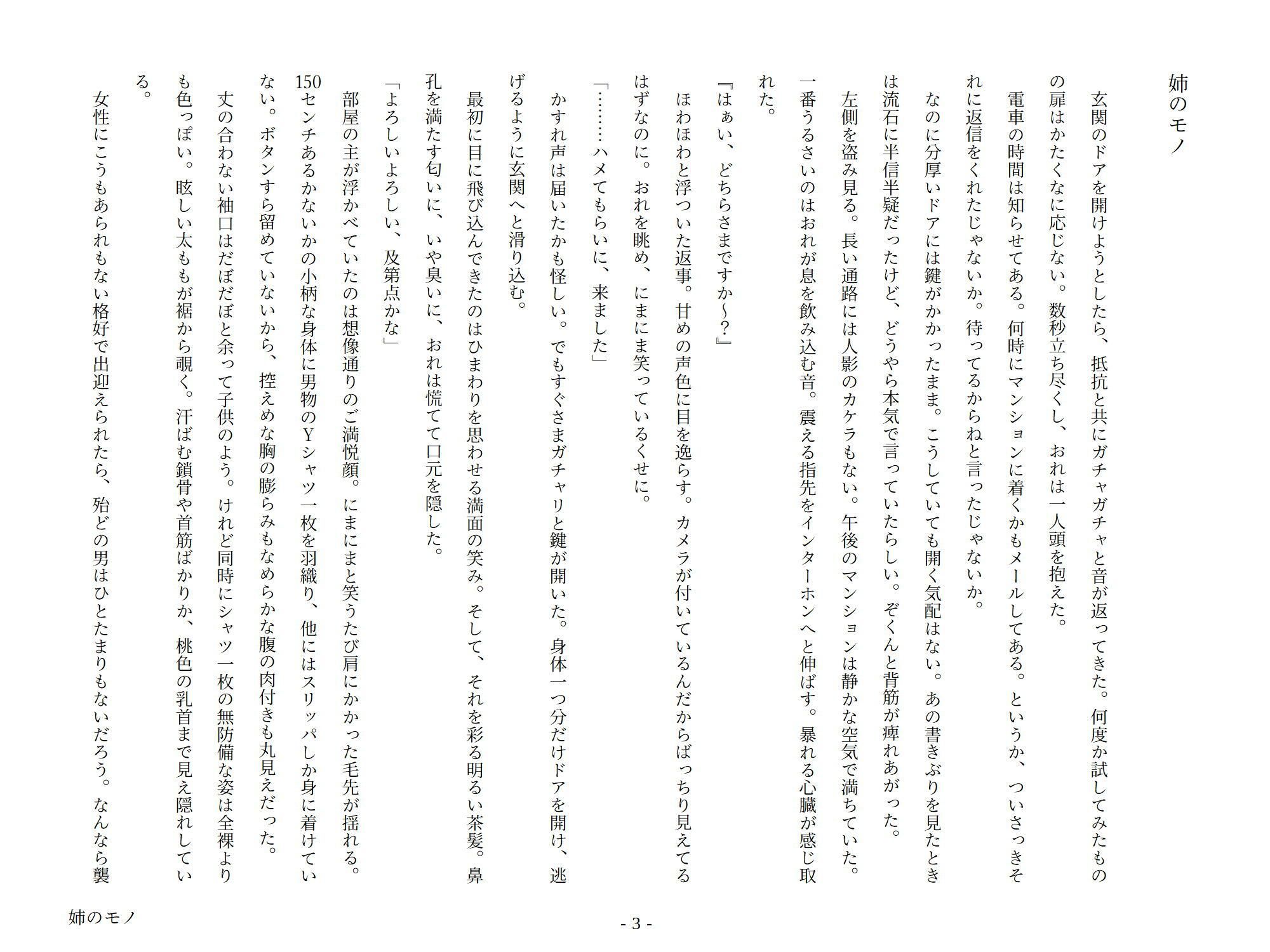 試し読み 2