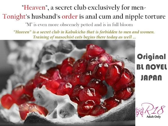 Fetishism Heaven SM Dream Third Night-Fucking Abandoned Etch-Whole Body Lip Anal Blame-Nipple Blame-