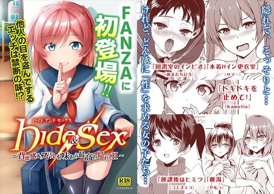 Hide ＆ Sex 〜背徳感＆スリルを味わう最高の隠れてH〜
