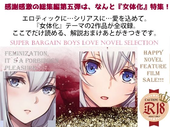 スパイダーリコリスFANZA限定総集編5女体化SPECIAL・牝騎士団長レオナード三部作・メス犬娼婦クラウディアシリーズ
