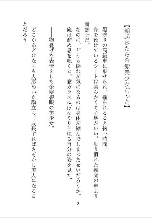試し読み 2