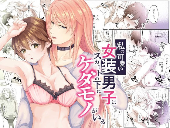 私の可愛い女装男子はスカートの下にケダモノがいる