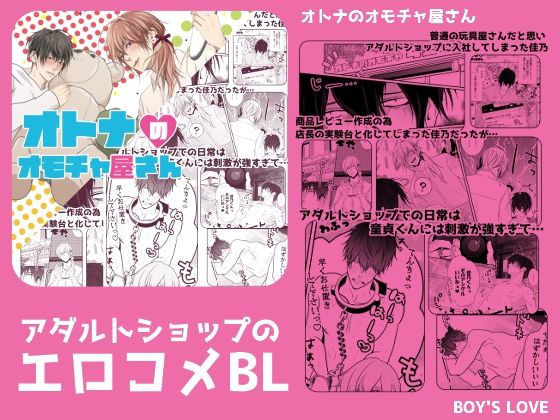 オトナのオモチャ屋さん