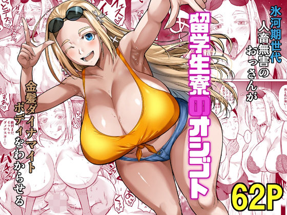 パッケージ画像
