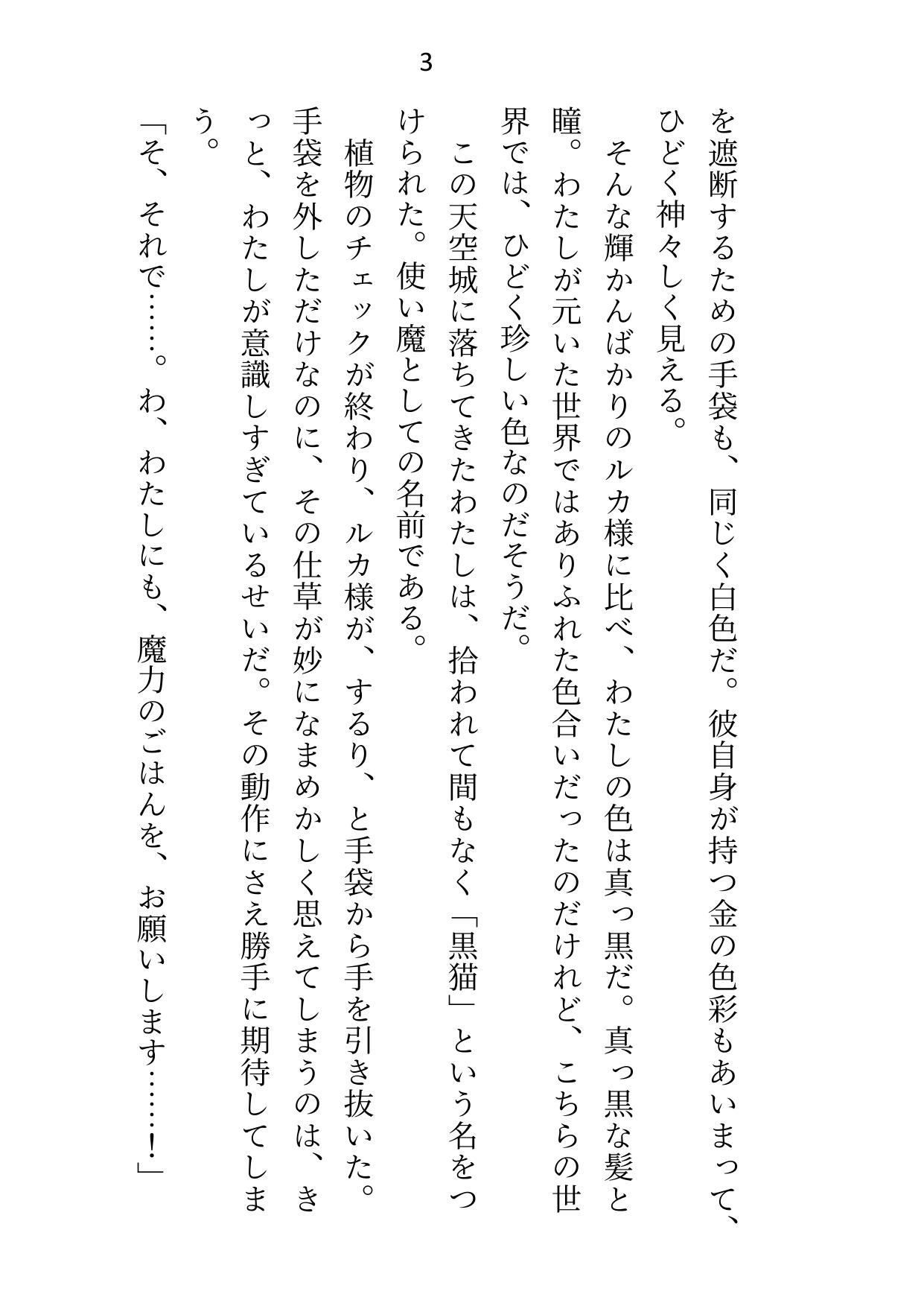 試し読み 2