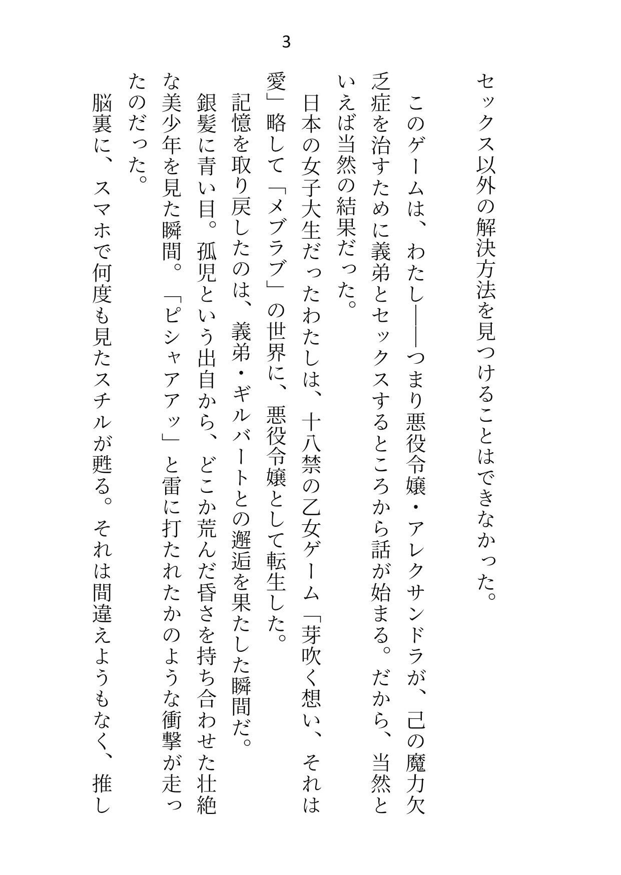 試し読み 2