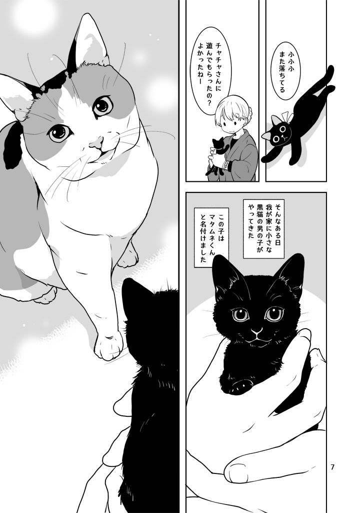 試し読み 7