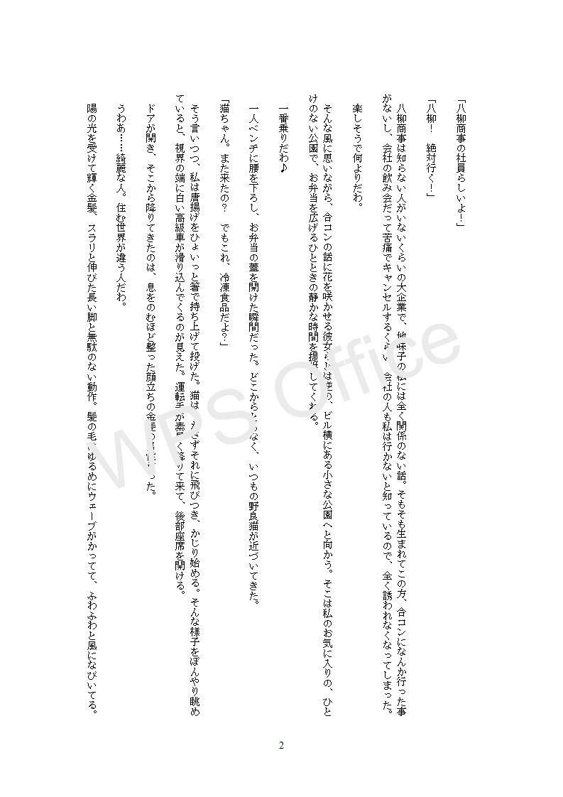 試し読み 2