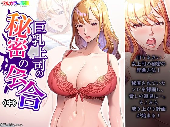 巨乳上司の秘密の会合 中