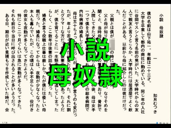 小説  母奴●