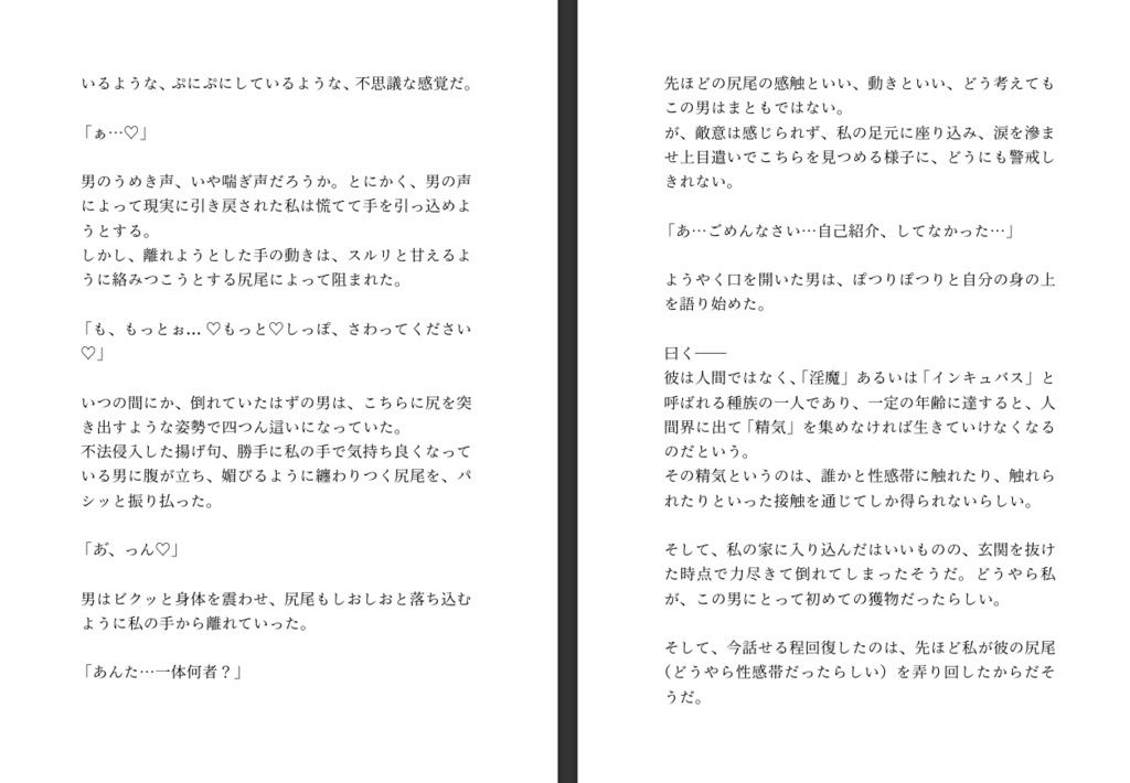 試し読み 2