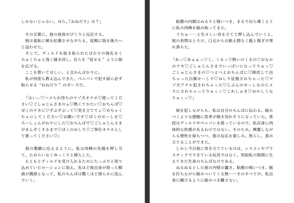 試し読み 9