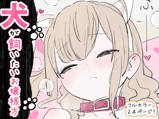 パッケージ画像