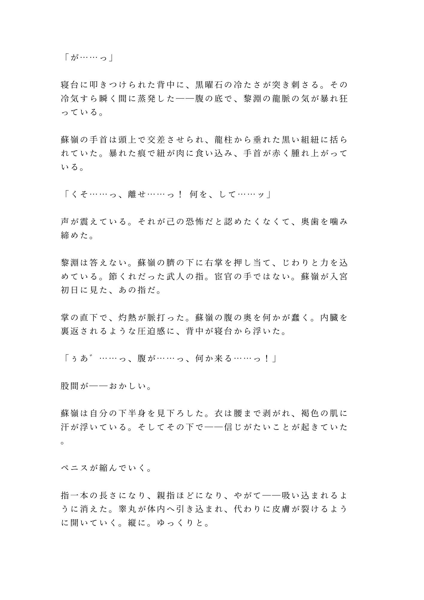 試し読み 2