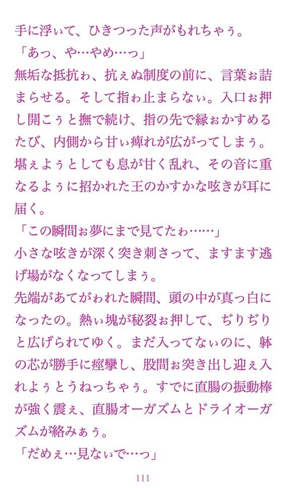 試し読み 9