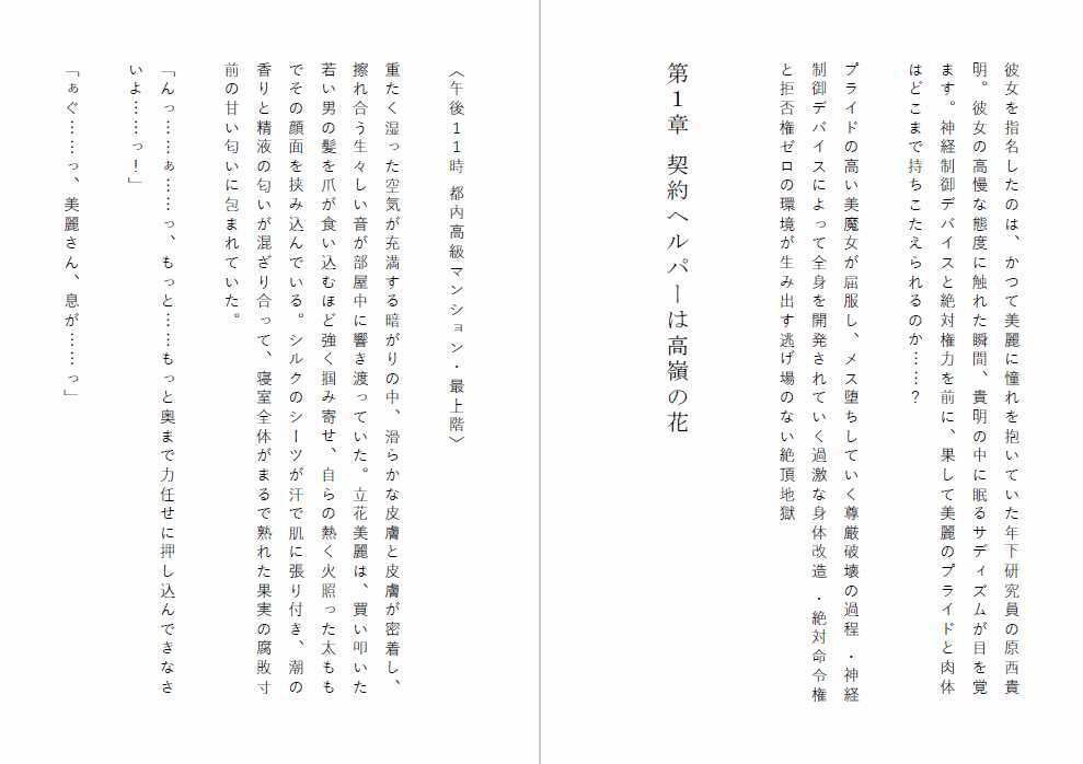 試し読み 2
