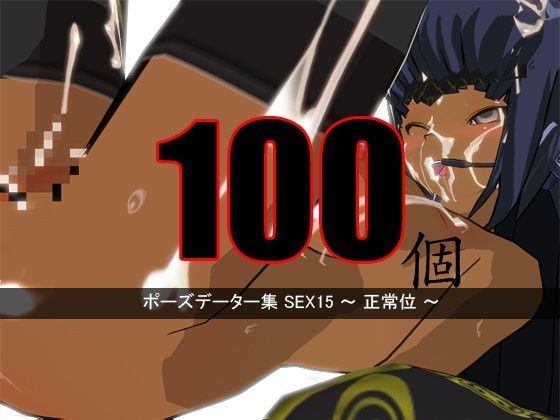 ポーズデーター集 SEX15〜 正常位 〜