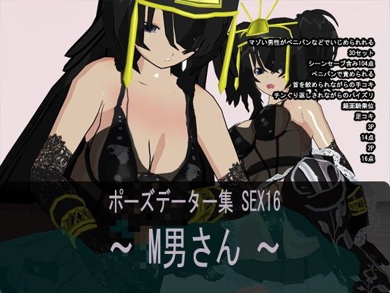 ポーズデーター集 SEX16 〜 M男さん 〜