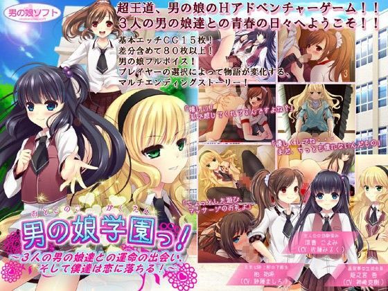 男の娘学園っ！ 〜3人の男の娘達との運命の出会い、そして僕達は恋に落ちる！〜