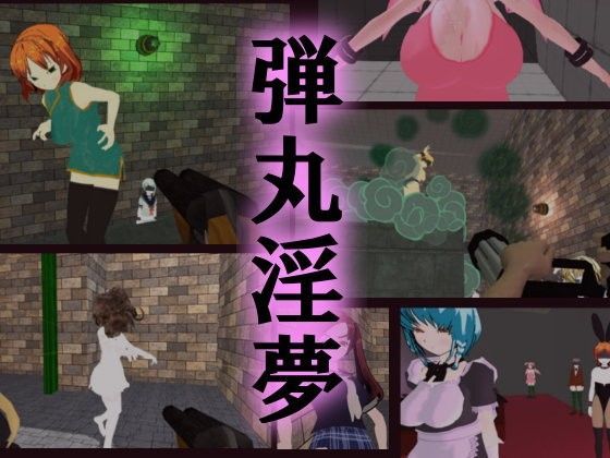 弾丸淫夢